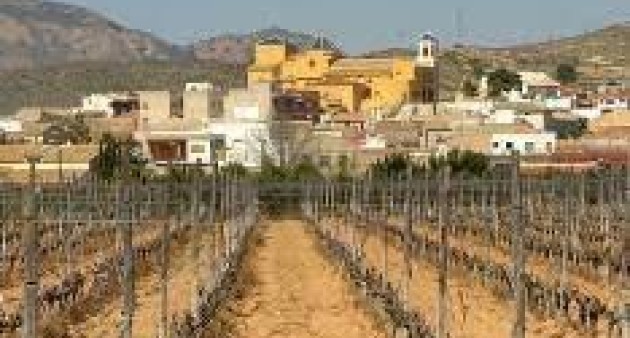 Novostavba - Bungalow - Hondon de las Nieves - El Salero