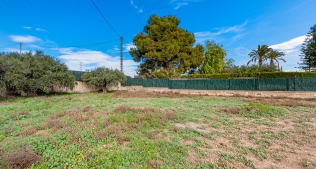 Verkoop - Chalet - Elche/Elx