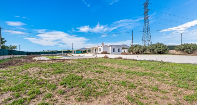 Verkoop - Chalet - Elche/Elx