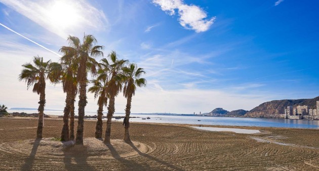 Nieuwbouw - Villa - Els Poblets - Partida Barranquets