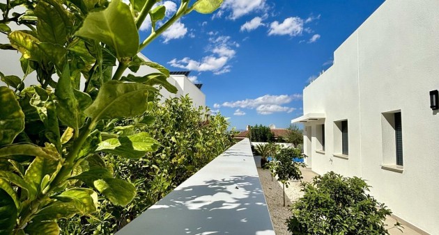 Nybygg - Villa - Benijófar - Pueblo