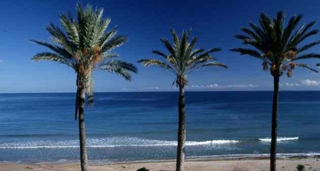 New Build - Bungalow - Pilar de La Horadada - Parque Ramon eugenio Escudero