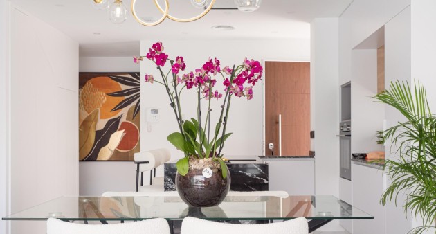 Nouvelle construction - Villa - San Pedro del Pinatar