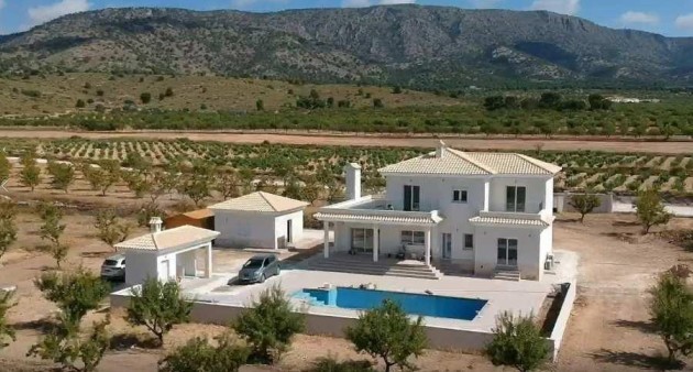 Nouvelle construction - Villa - Pinoso - Camino Del Prado