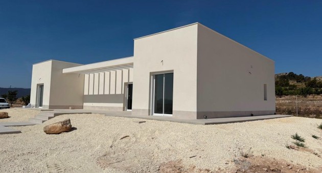 Nouvelle construction - Villa - Pinoso - Camino Del Prado