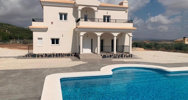 Nouvelle construction - Villa - Pinoso - Camino Del Prado