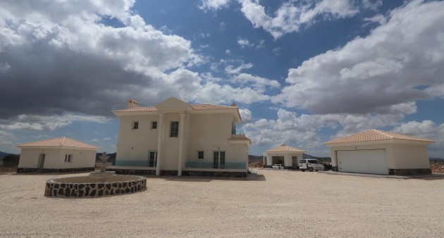 Nouvelle construction - Villa - Pinoso - Camino Del Prado