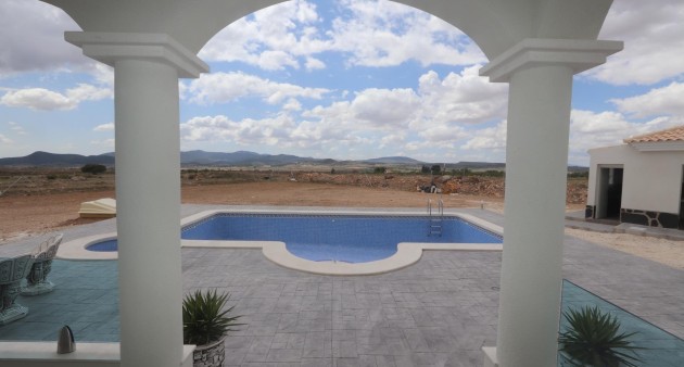 Nouvelle construction - Villa - Pinoso - Camino Del Prado