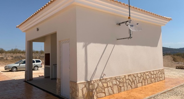 Nouvelle construction - Villa - Pinoso - Camino Del Prado