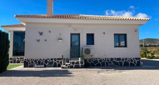 Nouvelle construction - Villa - Pinoso - Camino Del Prado