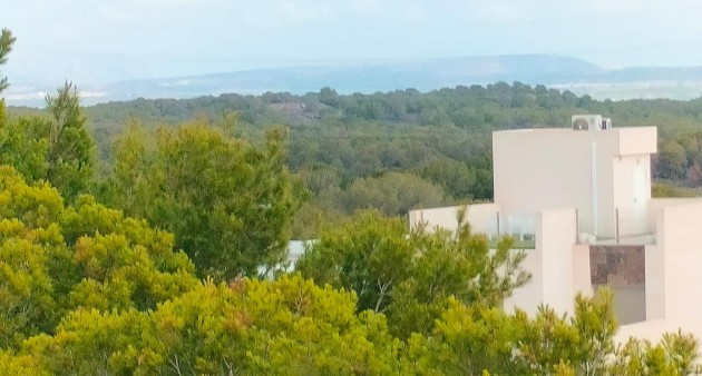 Nowo zbudowane - Town House - Orihuela costa - PAU 26