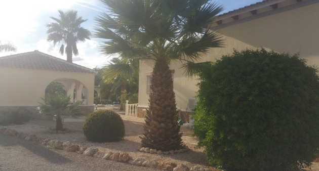 Sprzedaż - Posiadłość wiejska - Daya Vieja