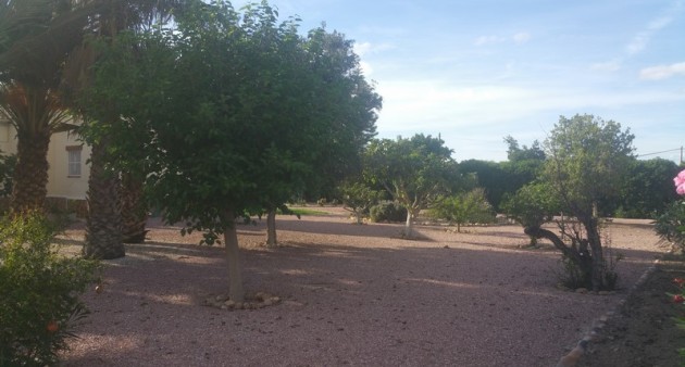 Sprzedaż - Posiadłość wiejska - Daya Vieja