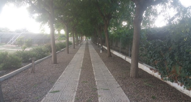 Sprzedaż - Posiadłość wiejska - Daya Vieja