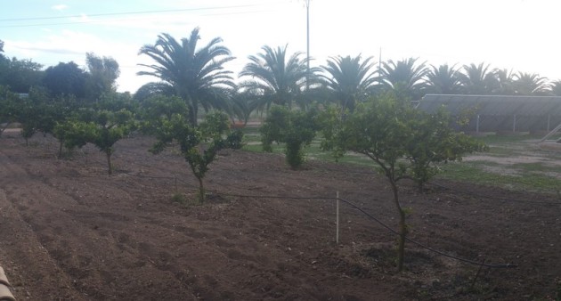 Sprzedaż - Posiadłość wiejska - Daya Vieja