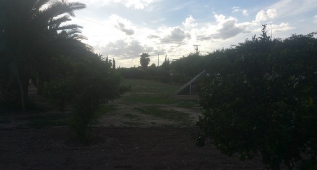 Sprzedaż - Posiadłość wiejska - Daya Vieja