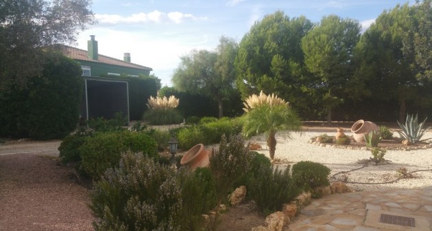 Sprzedaż - Posiadłość wiejska - Daya Vieja