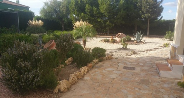 Sprzedaż - Posiadłość wiejska - Daya Vieja