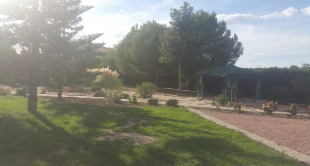 Sprzedaż - Posiadłość wiejska - Daya Vieja