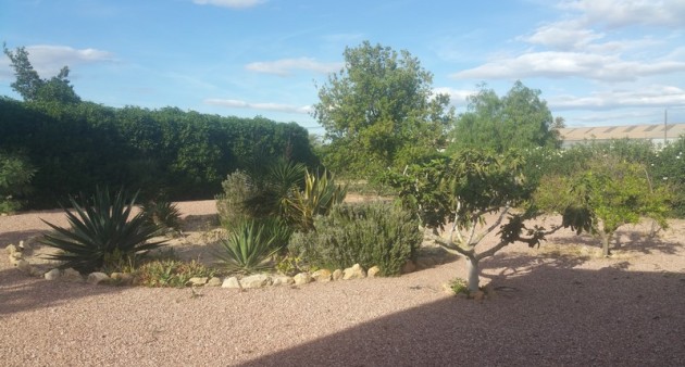 Sprzedaż - Posiadłość wiejska - Daya Vieja