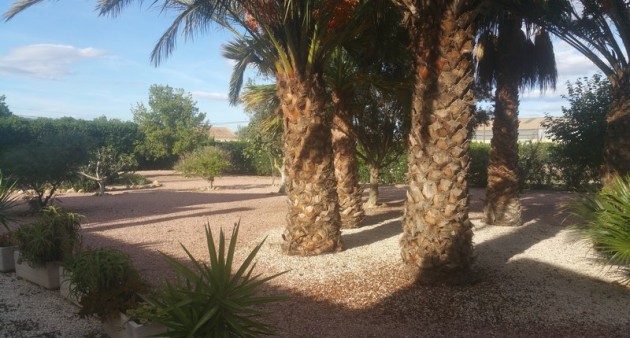 Sprzedaż - Posiadłość wiejska - Daya Vieja