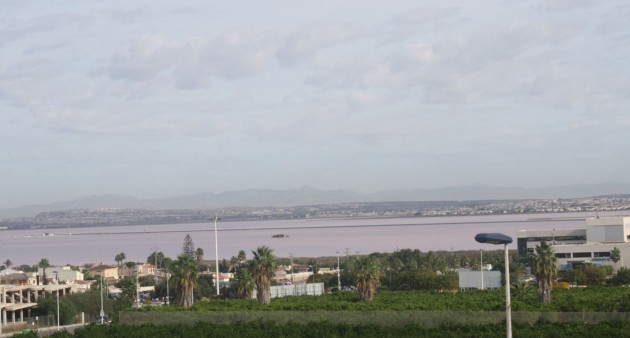 Nieuwbouw - Town House - Torrevieja - Los Altos