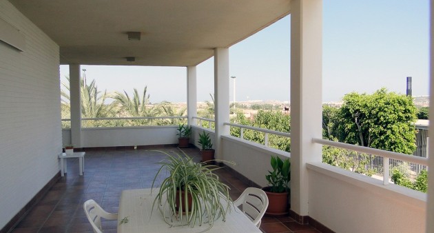 Vente - Villa - Elche/Elx