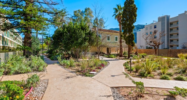 Venta - Ático - Denia - Puerto