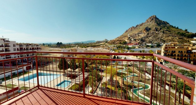 Nouvelle construction - Penthouse - Archena - Villanueva del Rio Segura