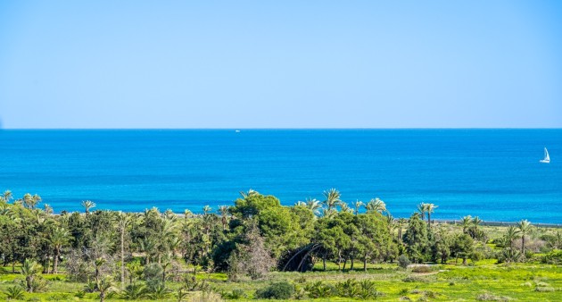 Verkoop - Penthouse - Orihuela costa - Punta Prima