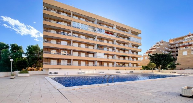 Verkoop - Penthouse - Orihuela costa - Punta Prima