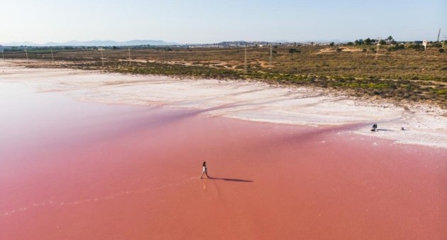 Nowo zbudowane - Willa - Torrevieja - Aguas Nuevas