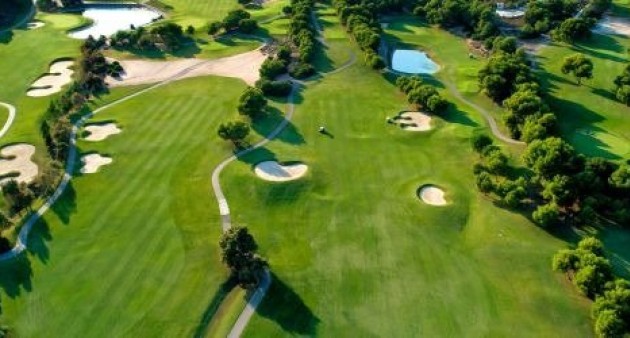 Nouvelle construction - Villa - Pilar de La Horadada - Lo Romero Golf