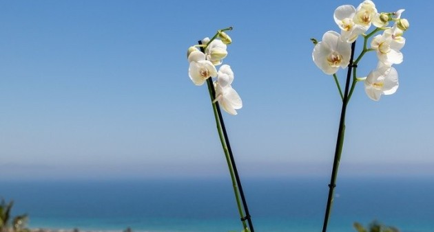 Nowo zbudowane - Apartament - Santa Pola - Gran Alacant