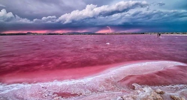 Novostavba - Apartment - Torrevieja - Centro