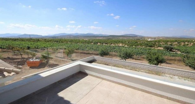 Nouvelle construction - Villa - Pinoso - Camino Del Prado