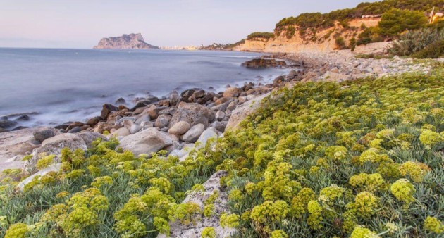 New Build - Villa - Benissa - Cala Advocat