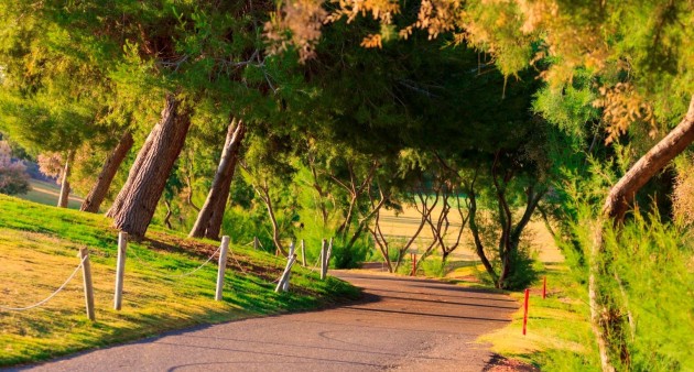 Nouvelle construction - Villa - Pilar de La Horadada - Lo Romero Golf