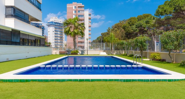Vente - Apartment - Guardamar del Segura
