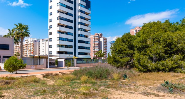 Vente - Apartment - Guardamar del Segura