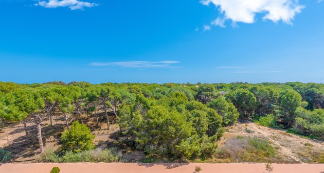 Vente - Apartment - Guardamar del Segura