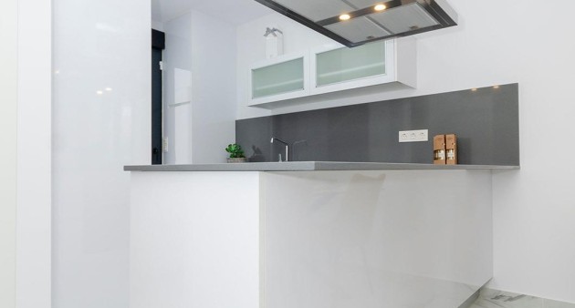 Nybygg - Villa - Torrevieja - Torretas