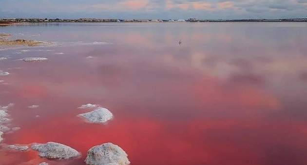 Nowo zbudowane - Bungalow - Torrevieja - Lago Jardín II
