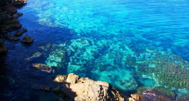 Nybygg - Leilighet - La Manga