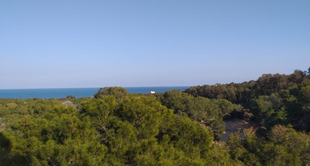 Nowo zbudowane - Apartament - Guardamar del Segura - Pueblo