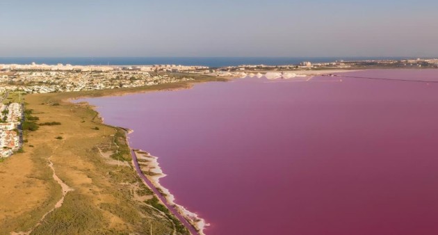 Sale - Villa - Torrevieja