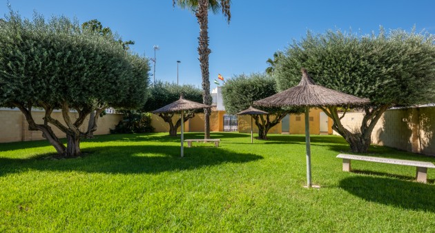 Verkoop - Appartement - Torrevieja