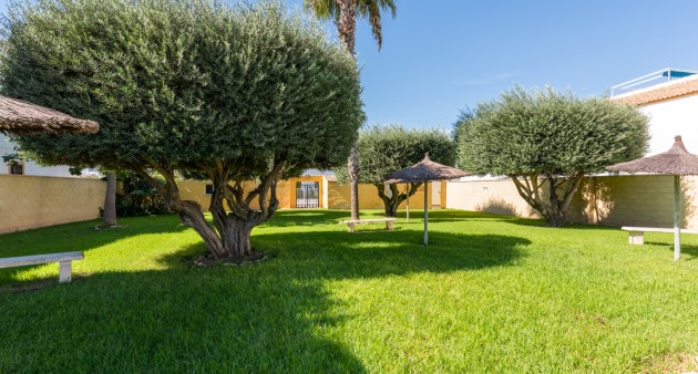 Verkoop - Appartement - Torrevieja