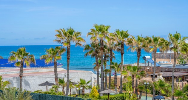 Venta - Chalet - Torrevieja - La Mata