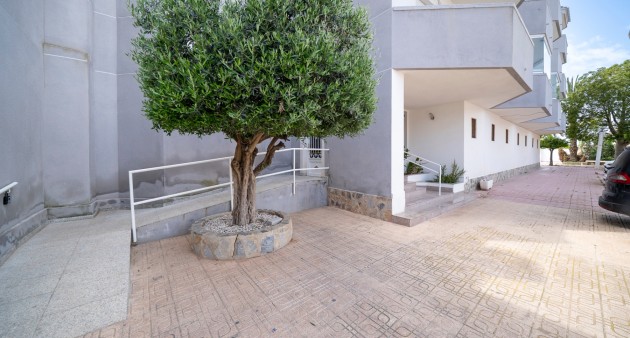 Venta - Piso - Orihuela costa - Cabo Roig